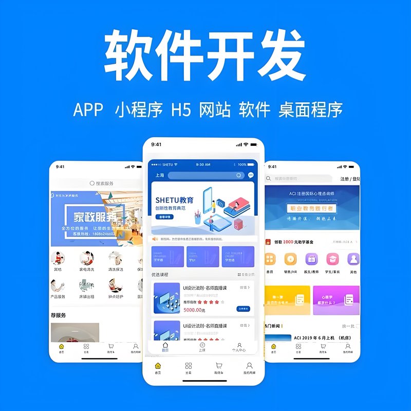 上海软件开发行业动态：从定制服务到全栈解决方案
