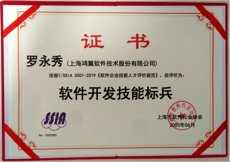 系统集成：构建企业信息化的坚实基石